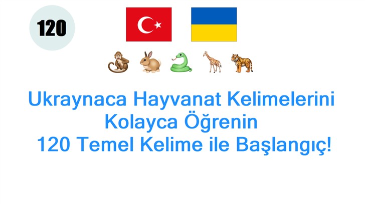 Ukraynaca Hayvanat Kelimelerini Kolayca Öğrenin: 120 Temel Kelime ile Başlangıç!